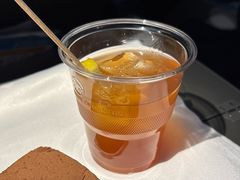 -新加坡航空公司(ION)