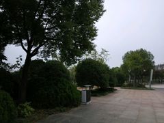 -新江湾城公园