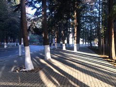 -大连理工大学(凌水校区)