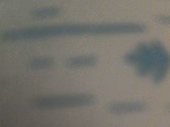 -六姑龟苓膏糖水卤水店