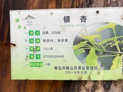 -青岛崂山太清宫