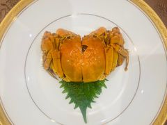 -新光酒家·河豚·海鲜·蟹料理(浦东店)