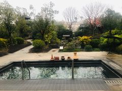-凤翔首邑温泉度假村