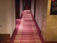 -上海龙之梦万丽酒店