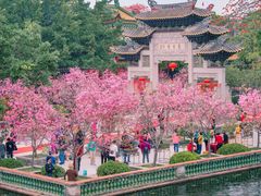 -宝墨园景区