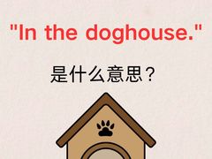 -I-Shine英语国际教育(御桥张江中心)