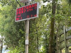 -广州市流溪河国家森林公园