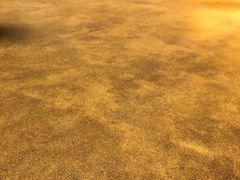 -天山海世界·米立方