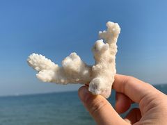 -北戴河东海水浴场