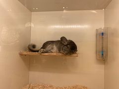 -龙猫仔乐园(惠福东路店)