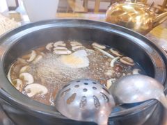 -乳仔牛牦牛汤锅 烤羊排(松潘古城店)