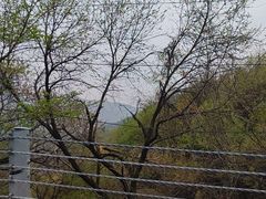 -妙峰山风景名胜区