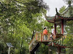 -青芝山风景名胜区