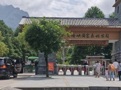 -青峰峡国家森林公园