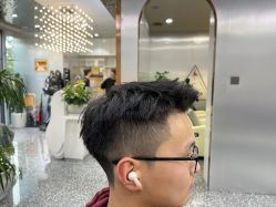 点击看大图 -Tloml salon