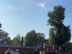 -百脉泉景区