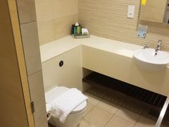 -新加坡柏薇罗切斯特酒店