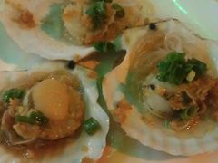 扇贝-海岛渔村大酒店(云霄路店)