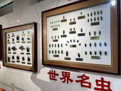 -上海昆虫博物馆