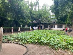 -绍兴鲁迅故里·沈园景区