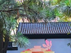 -玲珑塔公园