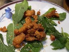 -百年银屏蚝烙·潮汕菜·非遗(乐山店)