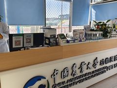 -中国农业大学动物医院