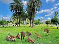 -东南花都花博园