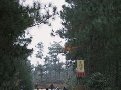 -荣县大佛