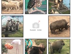 -西霞口神雕山野生动物世界