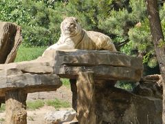 -北京野生动物园