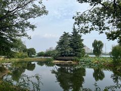 -金银湖国家城市湿地公园