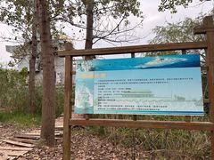 -微山湖红荷湿地景区