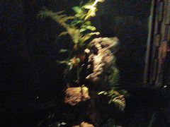 -泰之源足浴会所(玉环店)