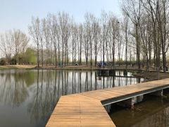 -东郊湿地公园