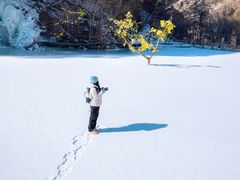 -少华山国家森林公园