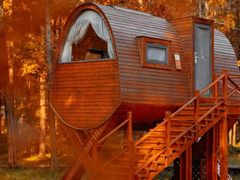 -黄海国家森林公园