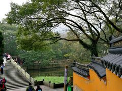 -普陀山风景名胜区-法雨禅寺