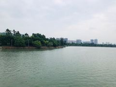 -五缘湾湿地公园
