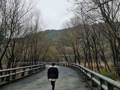 -西湖风景区-江洋畈生态公园