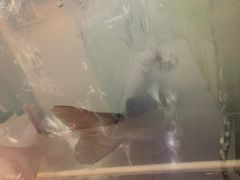 -天香石锅鱼(永兴路店)