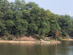 -红花湖景区
