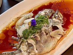 -十八棵（老龙井）御茶园(老龙井店)