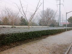 -芳华路(地铁站)