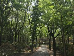 -唐城墙遗址公园