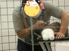 -熊小胖宠物生活馆(天华园店)