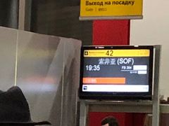 -谢列梅捷沃国际机场