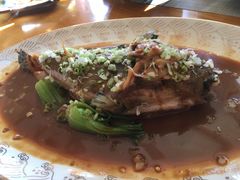 -天正河鲀·河豚亭(大连店)