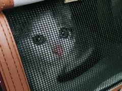 -安安宠医·安宠宠物医院