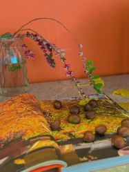 -新蝶变皮肤管理中心